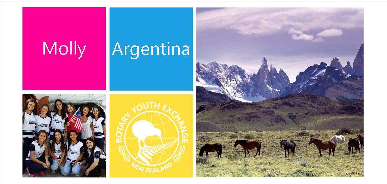 2016 MOLLY Argentina Header 2016 MOLLY Argentina Header